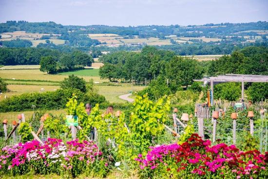 Alôsnys, écovillage en permaculture