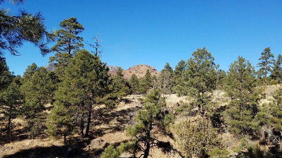Picture Canyon Natural and Cultural Preserve