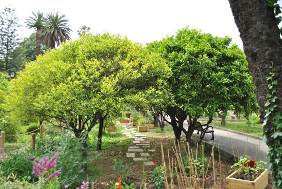 Jardín de cítricos del Palacio Carnolès