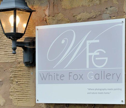 White Fox Gallery