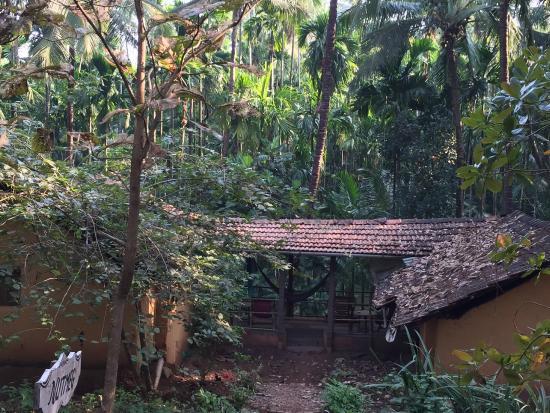 Tanshikar's Working Organic Spice Farm