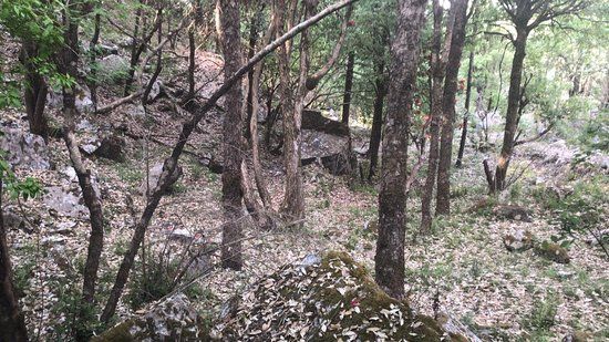 Jabarkhet Nature Reserve