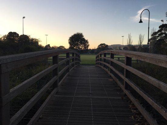 Percy Treyvaud Reserve