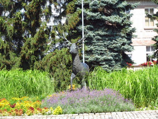 Pomnik jelenia