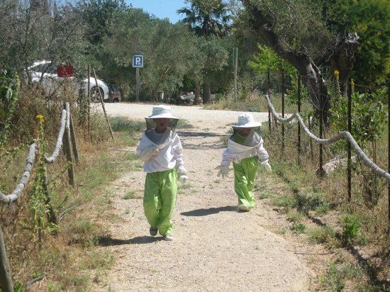Museo de la Miel y las Abejas Rancho Cortesano