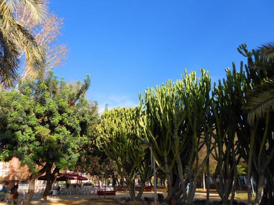 Jardín del Salitre