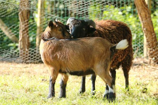 Agri'KIDS