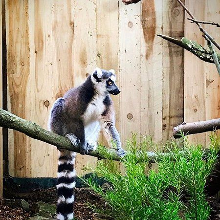 Hemsley Conservation Centre