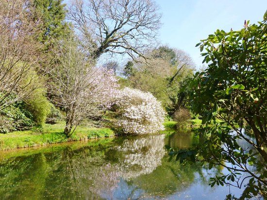 Fast Rabbit Farm Gardens