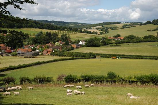 Chilterns Area of Outstanding Natural Beauty