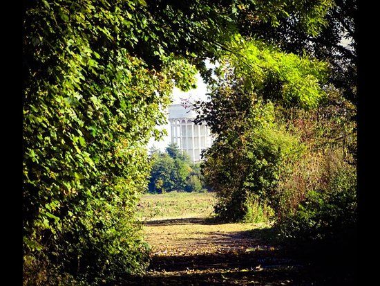 Oakhill Nature Reserve