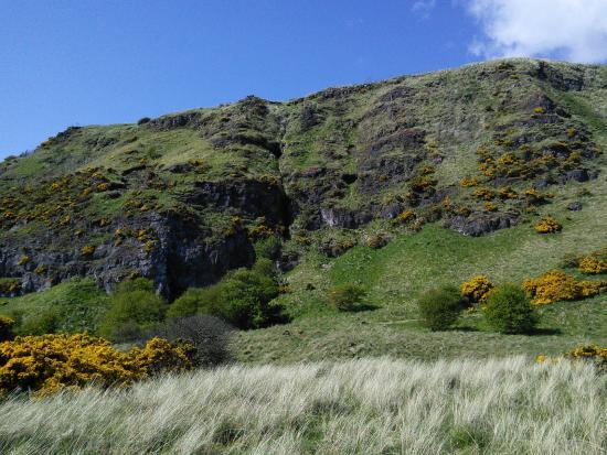 St Cyrus National Nature Reserve