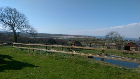 Children's Farm Park