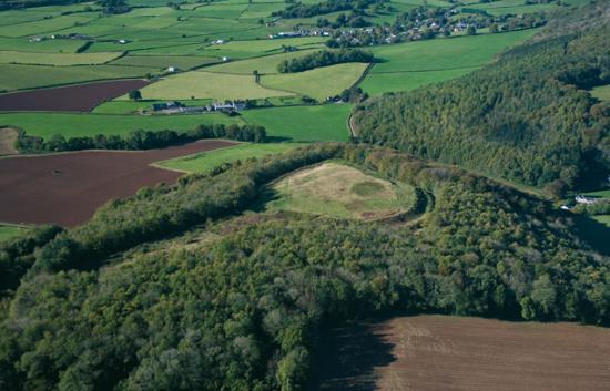 Llanmelin Wood Hillfort