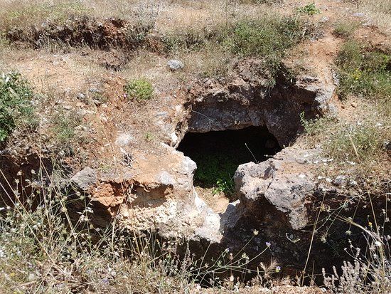 Late Minoan Tholos Tomb