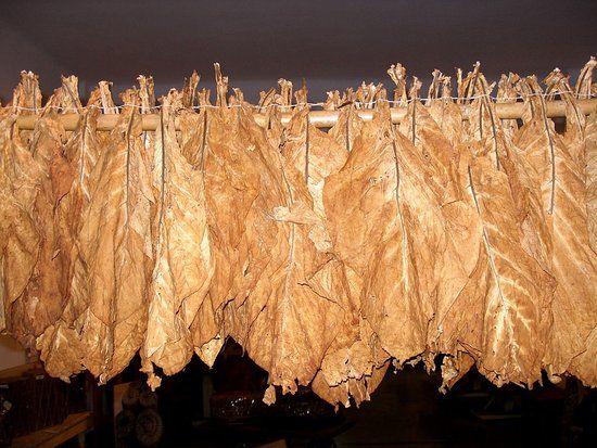 Tabakmuseum von Kavala