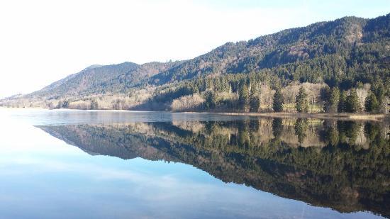 Bannwaldsee