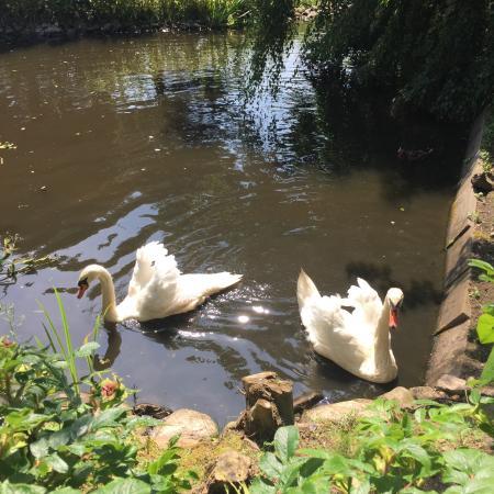 Ogród zoologiczny w Tinnum