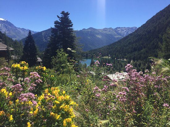 alpin Flore-Alpe Botanical Garden