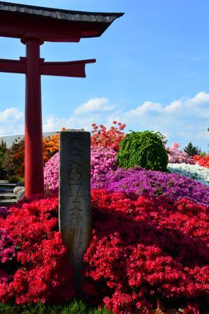 Ogród Japoński Pisarzowice