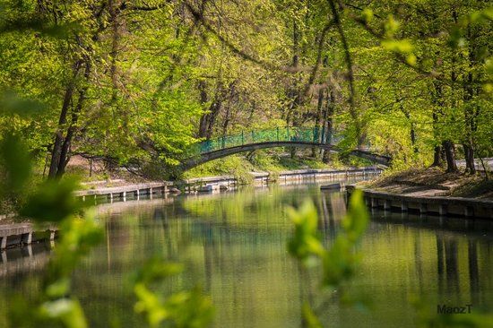 Parcul Naţional Romulus