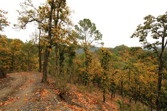 Sonanadi Wildlife Sanctuary