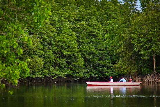 Mangrove Center Graha Indah