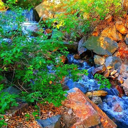 Oak Canyon Nature Center
