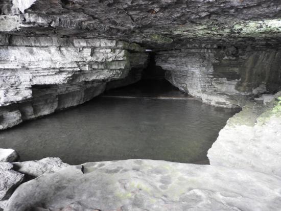 Cave Spring Hollow