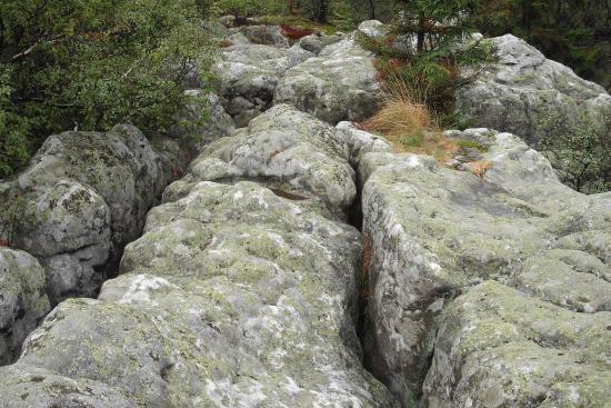 Viewing Platform Skalne Czasze