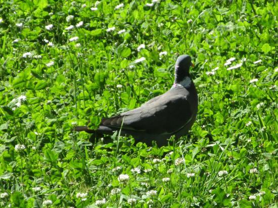 Parque de los Jesuitas