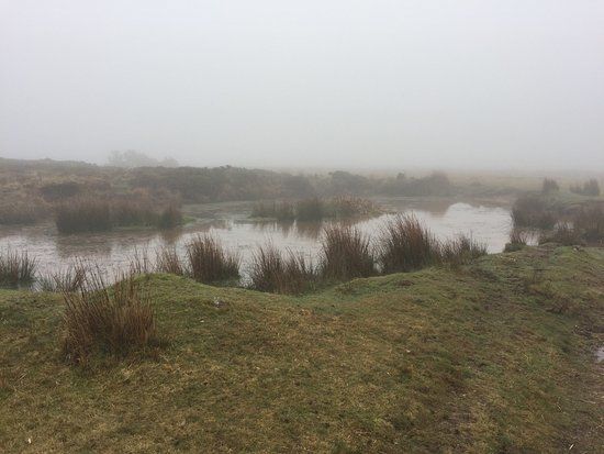 Cefn Bryn