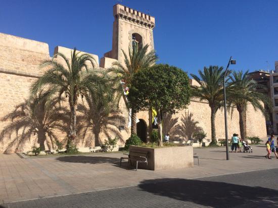 Museo del Mar Santa Pola ALA NORTE