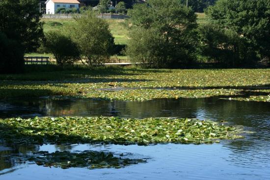 Lagoa de Sobrado