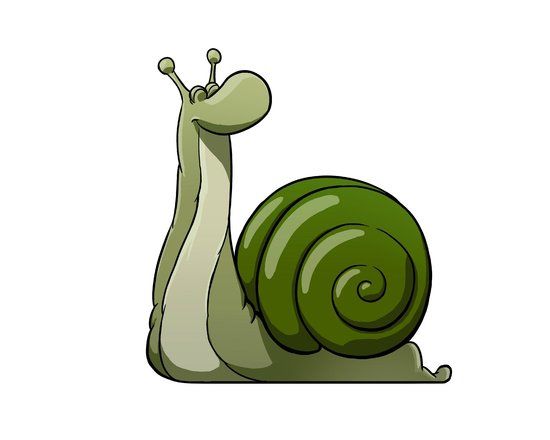 Escargots du Loir