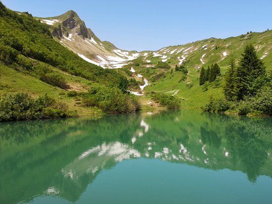 Blumen-Wander-Lehrpfad Faschina