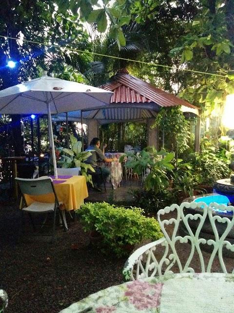 Crepas Sweet Dreams Aralias