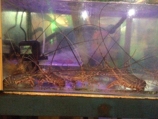 Warung Lobster Melayu Tepian Pantai