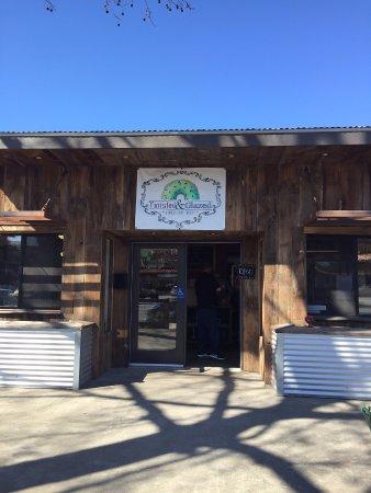 Twisted and Glazed Donuts