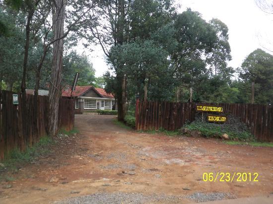 Mamma Mias Restaurant