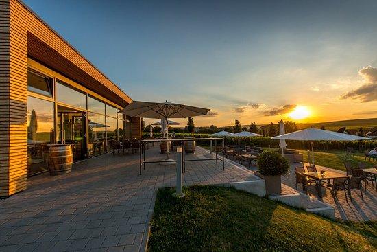 Dietrich. Die Weinbar