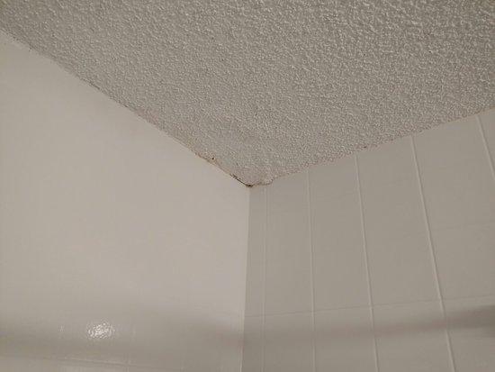 Holiday Inn Portland Airport