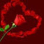 Lanchonete Da Rodoviaria