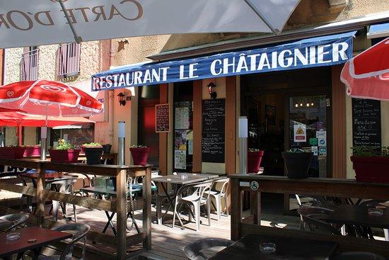 Le Chataignier