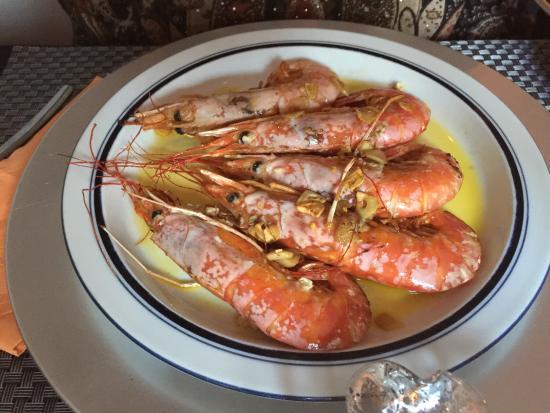 Sao Miguel Grandes Cantorias