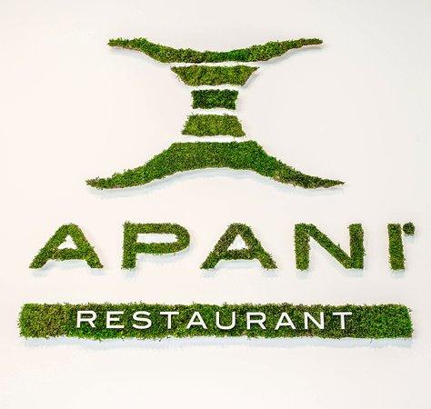 Apani