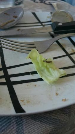 Restaurante Chino la Alegria