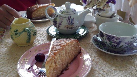 Alfazema e Chocolate