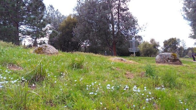 Pioneer Park