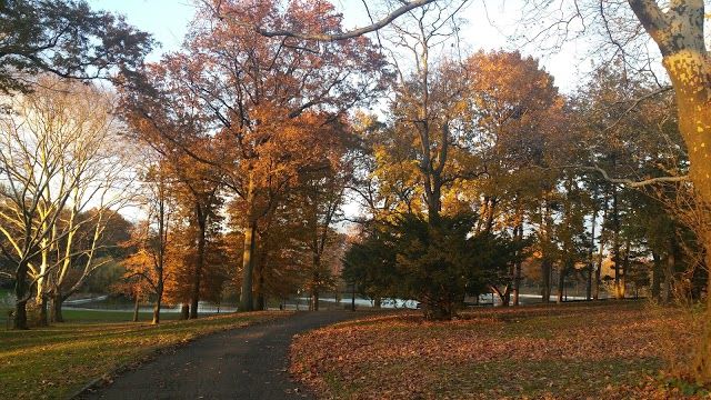 Kissena Park